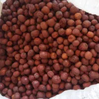 عناب|خوردنی و آشامیدنی|قائن, |دیوار