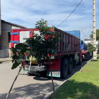 ولوو N10 باری ده چرخ|خودرو سنگین|اردبیل, |دیوار