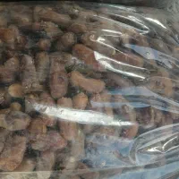 فروش خرما درجه یک شاهانی