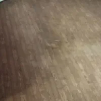 موکت ظریف مصور