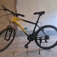 دوچرخه جاینت
