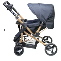 کالسکه دلیجان