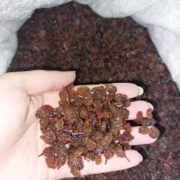 کشمش افتابی|خوردنی و آشامیدنی|مشهد, توس (بلوار توس)|دیوار