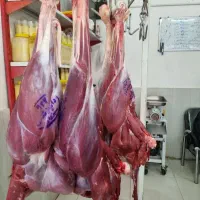 سلام به یک نیروی کار در قصابی نیازمندیم