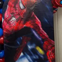 بنر مردعنکبوتی