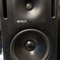 Genelc1031a