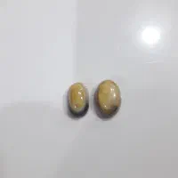 مهره سلطانی تضمینی