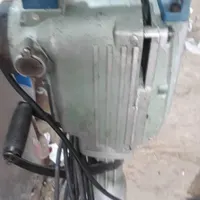 پیکور سالم است