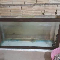 یک عدد اکواریوم