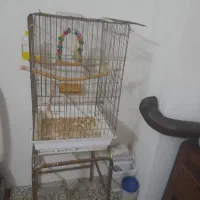 قفس کاسکویی با پابه