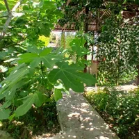 کلبه دو نفره (بهار ۳)|اجارهٔ کوتاهمدت ویلا و باغ|بابلسر, |دیوار