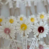 با کمترین قیمت حمایت کنید