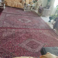 3 عدد فرش 6 متری دست باف صفر آباد زنجان