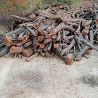 خریداره چوب مرکبات وغیره درباغ|خدمات باغبانی و درختکاری|جهرم, |دیوار