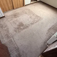 پالاز موکت ۱۱ متری