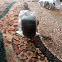 اسپیکر|سیستم صوتی خانگی|قم, کلهری|دیوار