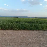 زمین تجاری مسکونی هفت تیر