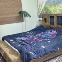 سرویس خواب نو|تخت و سرویس خواب|کرمان, |دیوار