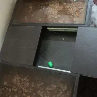 میز عسلی و ۳تا جلو مبلی|مبلمان خانگی و میز عسلی|زابل, |دیوار