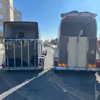 اسب کش فروشی معاوضه با سواری