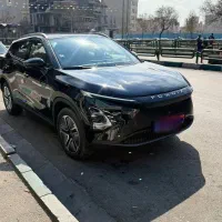 فروش فونیکس FX EV