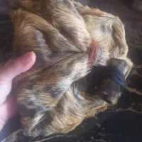 هیزه جای روغن|ظروف نگهدارنده، پلاستیکی، یک‌بارمصرف|دورود, |دیوار