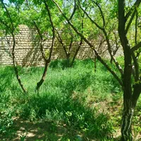 باغچه روستای خوش وآب هوازوایان|فروش خانه و ویلا|قم, امامزاده ابراهیم|دیوار