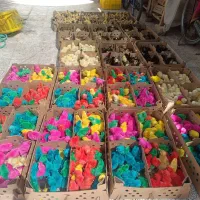 جوجه بلک استار