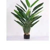 نخل درخچه|گل مصنوعی|تهران, مشیریه|دیوار