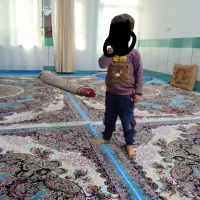 چهار تخته فرش دزدیده شده