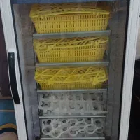 دستگاه جوجه کشی ۲۱۰ تایی بلدرچین دماوند