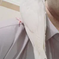 عروس هلندی|پرنده|زهک, |دیوار