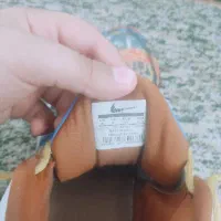 کفش بسکتبال|کیف، کفش، کمربند|هشتگرد, فاز ۷ مهستان|دیوار