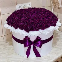 گل عروس|کلکسیون و سرگرمی|خوی, |دیوار