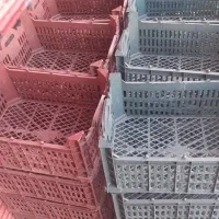 جعبه سیب و ...|ظروف نگهدارنده، پلاستیکی، یک‌بارمصرف|مهاباد (آذربایجان غربی), |دیوار