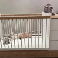 تخت دو منظوره نوزاد و نوجوان