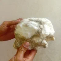سنگ راف کلکسیونی