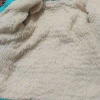 کاپیشن و پالتو|لباس|یاسوج, |دیوار