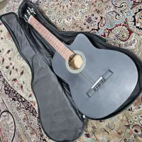 گیتار به همراه کیف