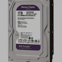 هارد ۱ ترابایت وسترن بنفش اصلی