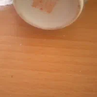 گلدان مرغی|ظروف سرو و پذیرایی|قزوین, |دیوار