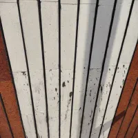 نماشویی. شستشوی نما. نانو. سند بلاست|خدمات نظافت|اصفهان, خرم|دیوار