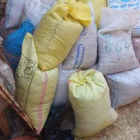 کود گوسفند اغولی  وگاوی دریزد استقلال