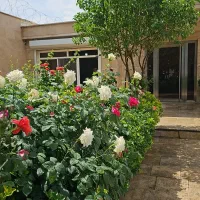 کارگر وارد به دایکات و کارگر ساده جهت کارتن سازی|استخدام صنعتی، فنی، مهندسی|باغستان, |دیوار