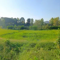 مرکز شهر/۳۰۰ متر/دارای پروانه ساخت