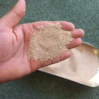 توم گوجه ای