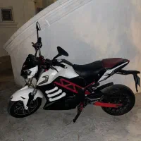 تنها نمونه جزیره