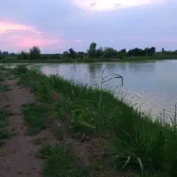 پرورش ماهی گرم آبی/گاوداری/اقساط/اقساط/بوم گردی