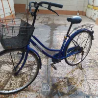 دورچخه ژاپنی