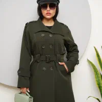 بارونی داخل خز